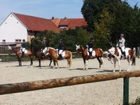Pferdecentrum-Miesau_Reitertag